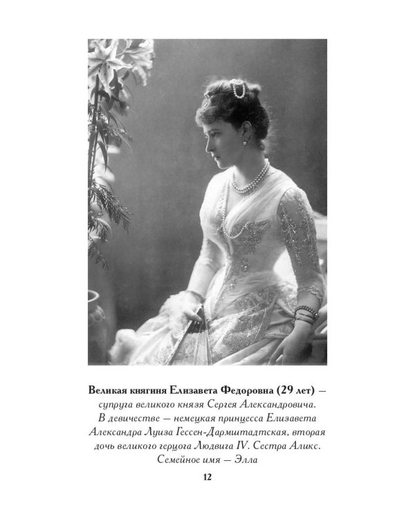 Роковой год цесаревича Николая