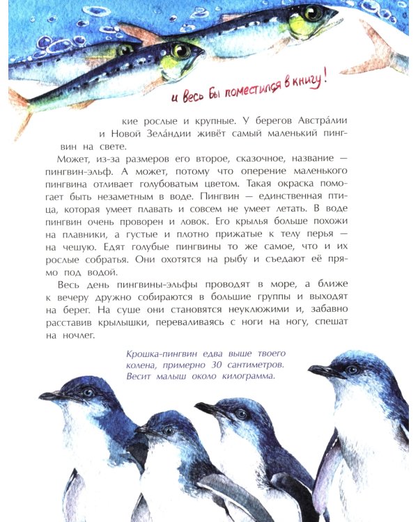 Птички-невелички. Кто на свете меньше всех