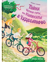 Тайна Черной горы, или Каникулы в Чудесатово