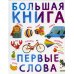 Большая книга. Первые слова Большая книга. Первые слова