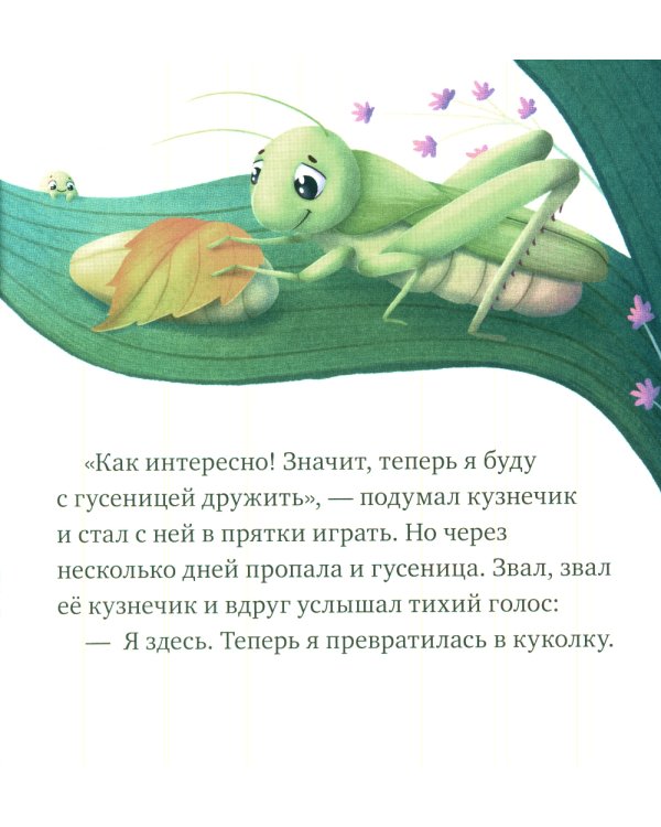 Приключения букашек