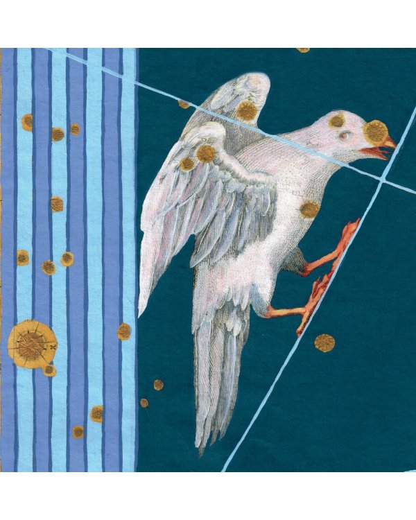 Дополнительное изображение книги «Созвездия. Большой звездный атлас»