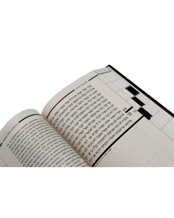 Дополнительное изображение книги «Тора. 8-е изд»