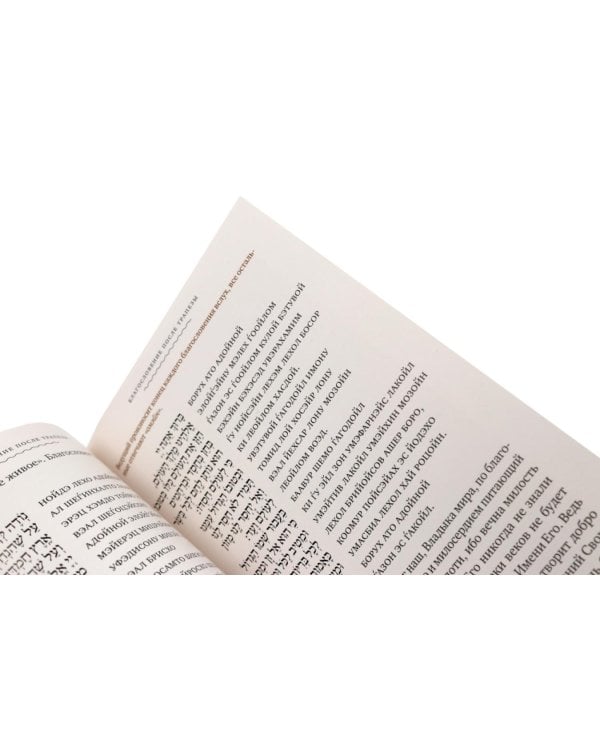 Дополнительное изображение книги «Субботний путеводитель»