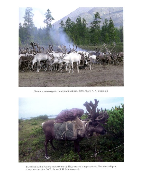 Тунгусо-маньчжурские народы Сибири и Дальнего Востока: Эвенки. Эвены. Негидальцы. Уилта. Нанайцы. Ульчи. Удэгейцы. Орочи. Тазы