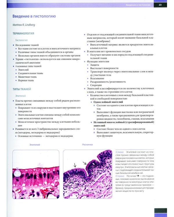 Гистология для патологоанатомов