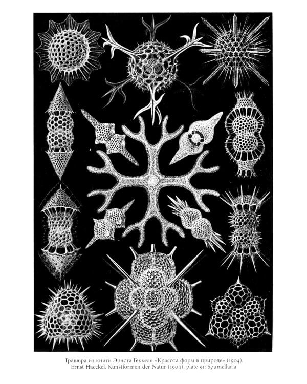 Изображение. Курс лекций. 2-е изд