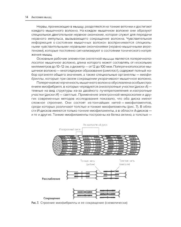 Анатомия мышц + Атлас нервно-мышечных болезней. Практическое руководство (комплект из 2-х книг)