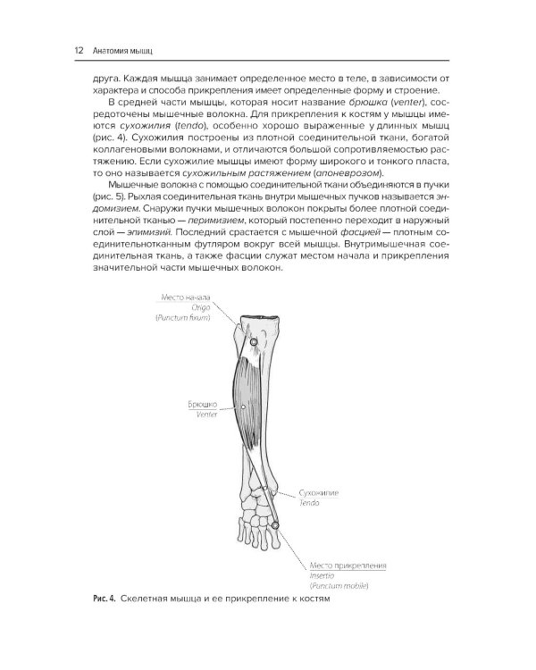 Анатомия мышц + Атлас нервно-мышечных болезней. Практическое руководство (комплект из 2-х книг)