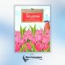 Тюльпан. Цветок султанов и мельников