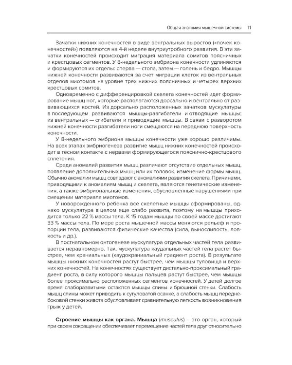 Анатомия мышц + Атлас нервно-мышечных болезней. Практическое руководство (комплект из 2-х книг)