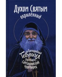 Духом Святым окрыленный. Преподобный Гавриил (Ургебадзе), Самтаврийский чудотворец