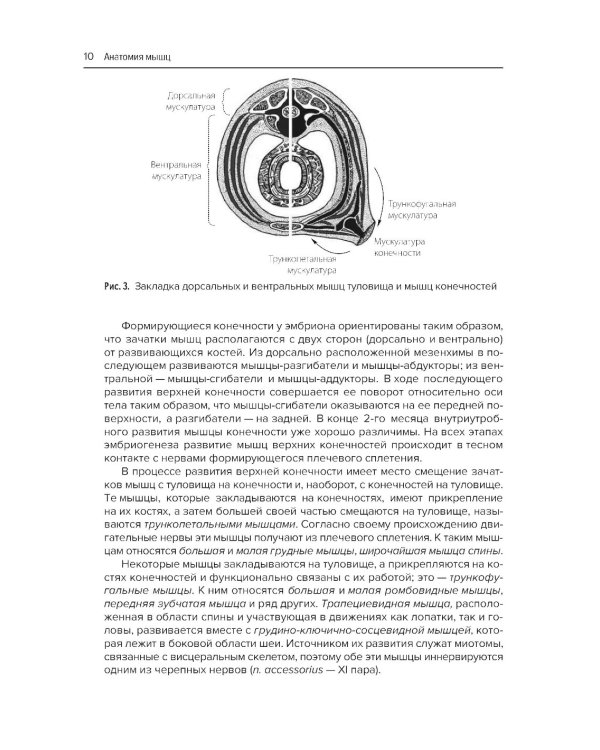 Анатомия мышц + Атлас нервно-мышечных болезней. Практическое руководство (комплект из 2-х книг)