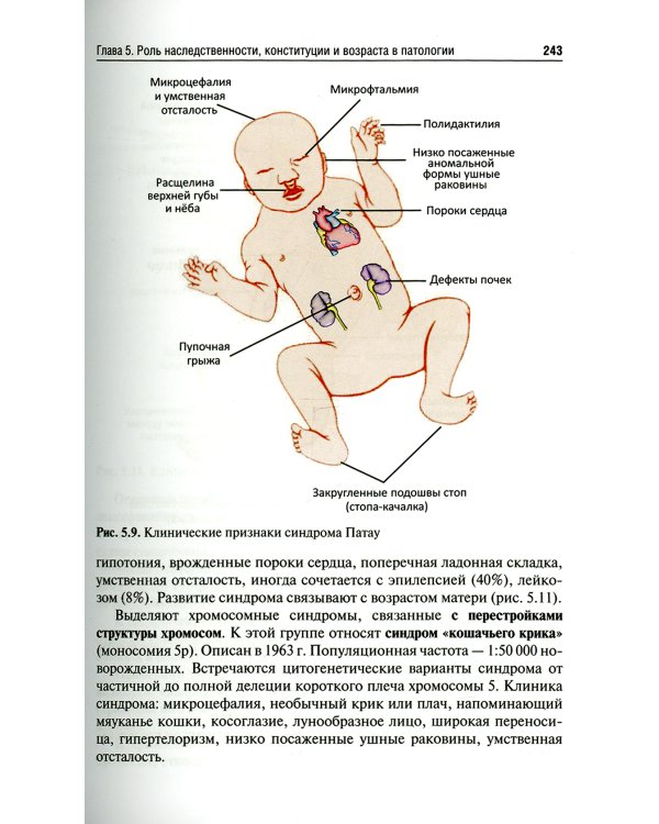 Патофизиология: Учебник. В 2 т. Т. 1. 5-е изд., перераб., и доп
