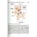 Патофизиология: Учебник. В 2 т. Т. 1. 5-е изд., перераб., и доп