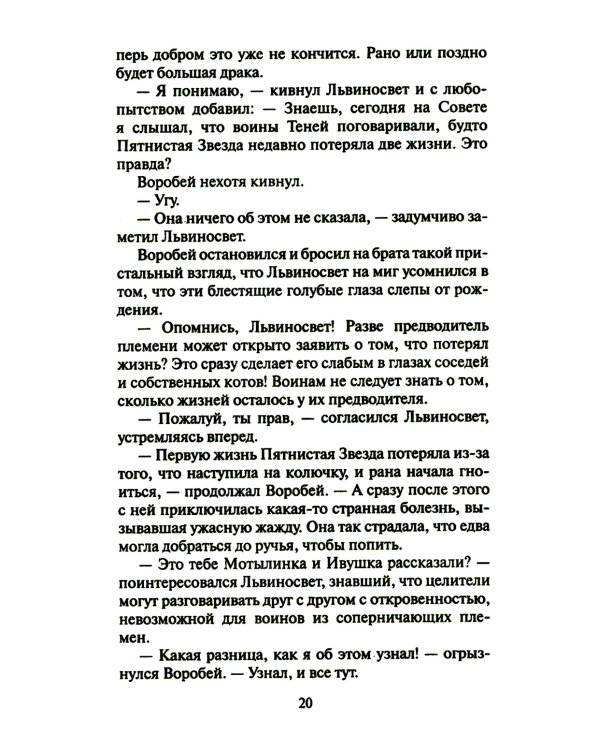 Коты-воители. Четвертый оруженосец