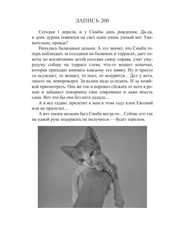 Кот, Домовой и Василий Иванович