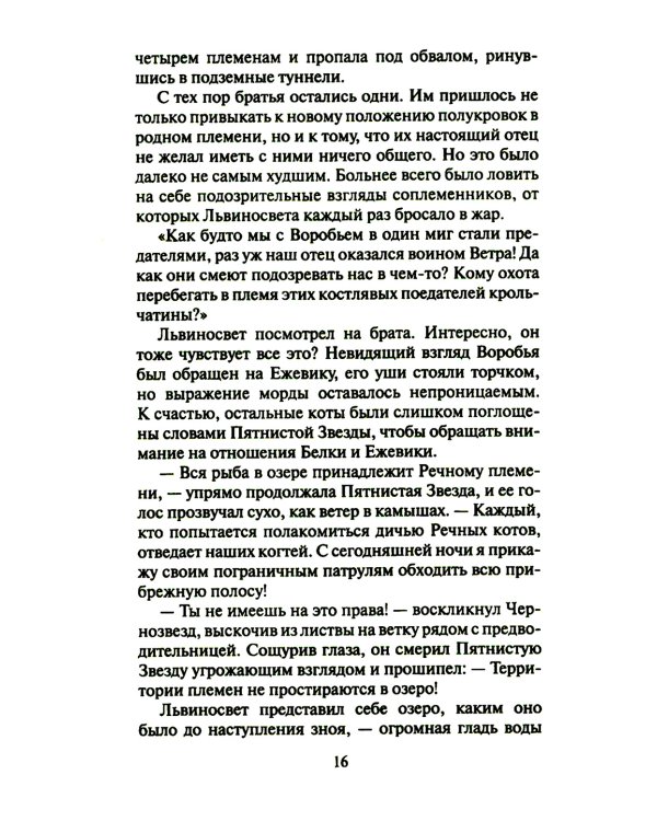 Коты-воители. Четвертый оруженосец