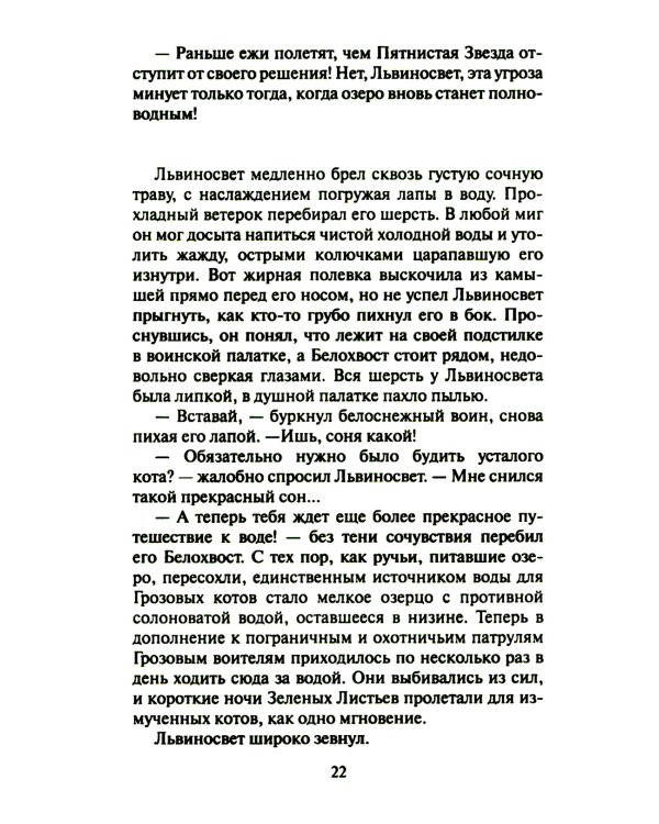 Коты-воители. Четвертый оруженосец