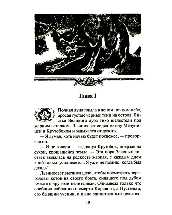 Коты-воители. Четвертый оруженосец