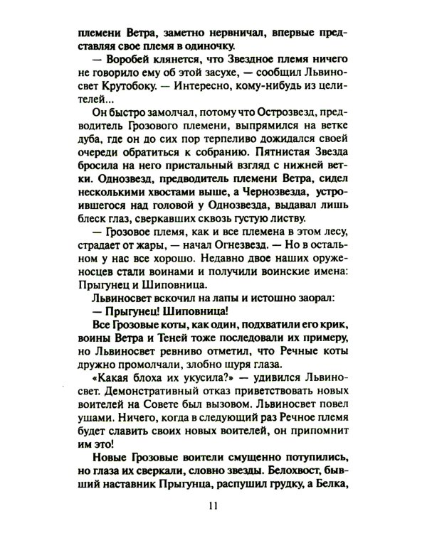 Коты-воители. Четвертый оруженосец