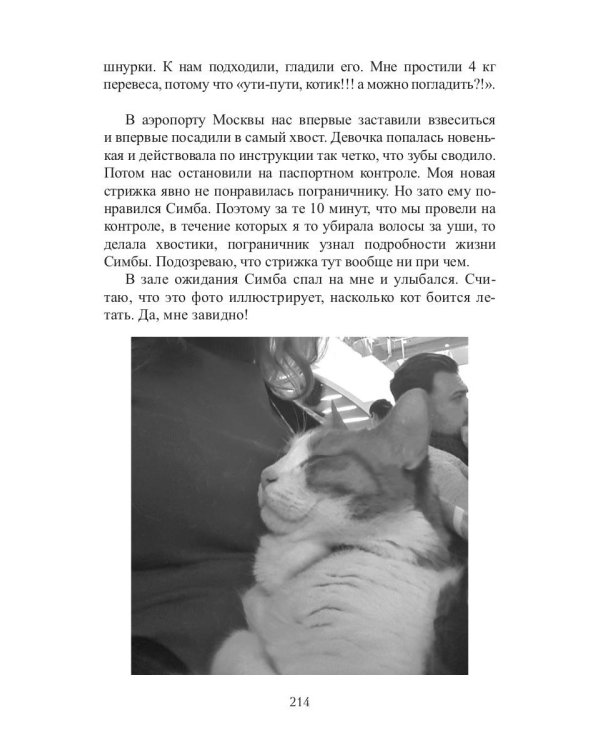 Кот, Домовой и Василий Иванович