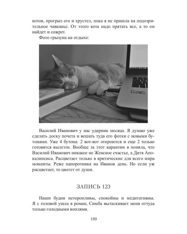 Кот, Домовой и Василий Иванович