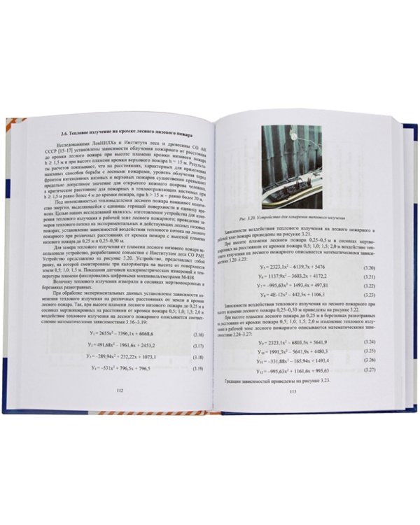 Безопасность труда на тушении лесных пожаров: монография