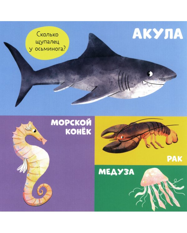 100 животных. Запускаем речь