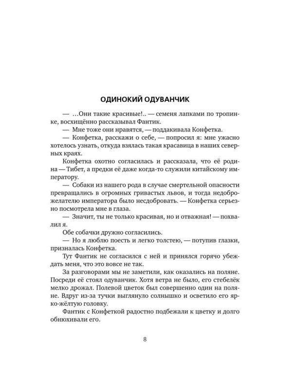 Найти Волшебника