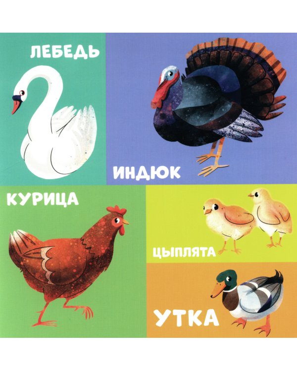 100 животных. Запускаем речь