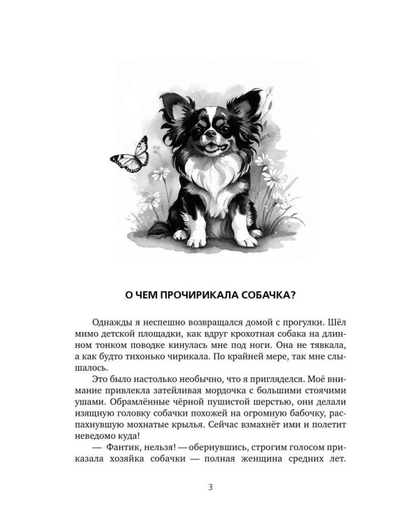 Найти Волшебника