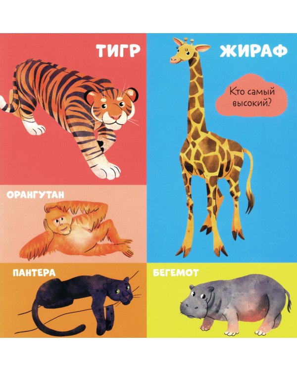 100 животных. Запускаем речь