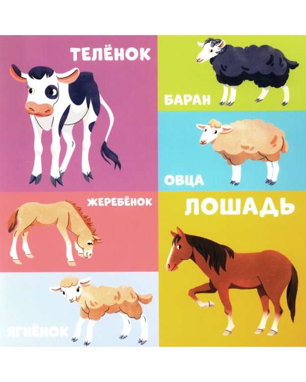 100 животных. Запускаем речь