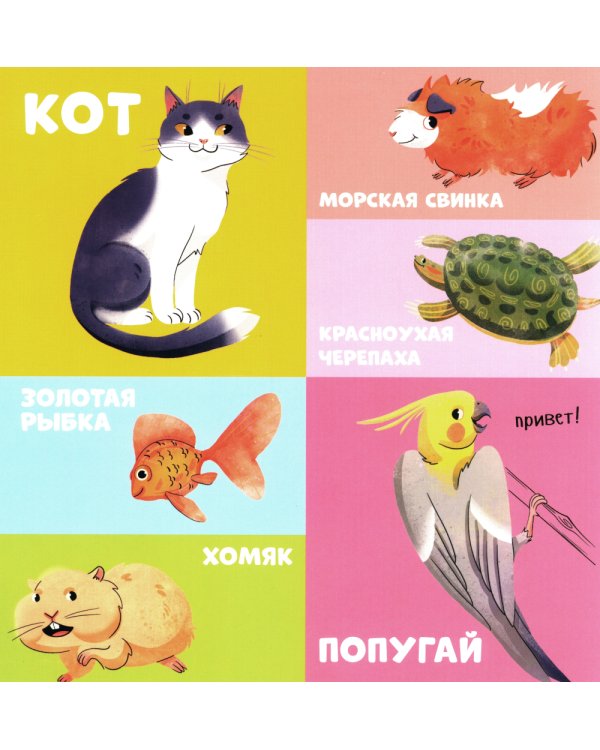 100 животных. Запускаем речь