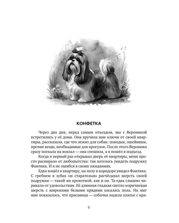 Найти Волшебника