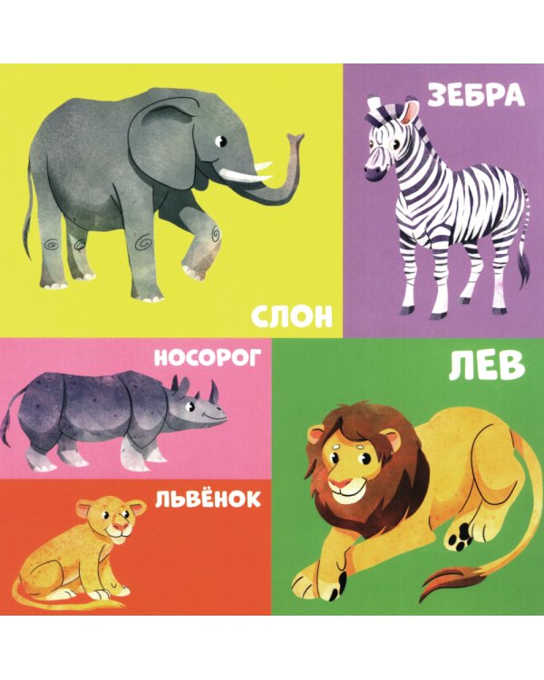 100 животных. Запускаем речь