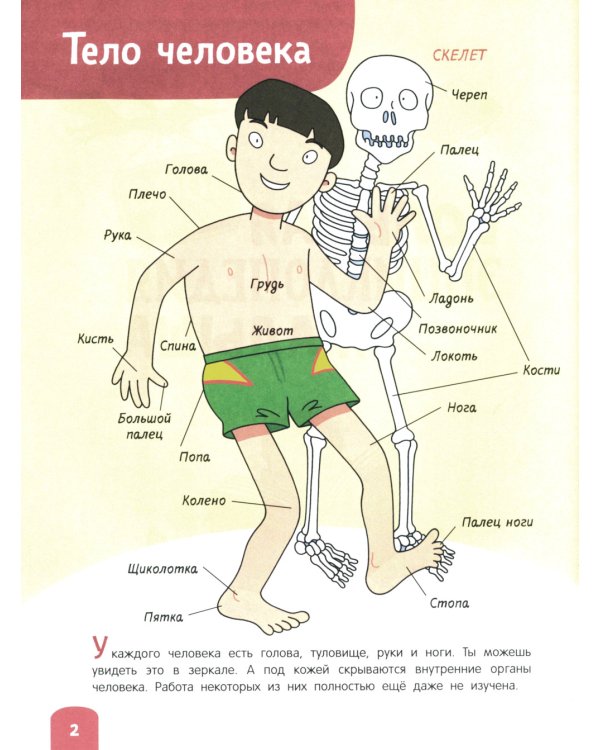Большая энциклопедия малыша. 1000 слов