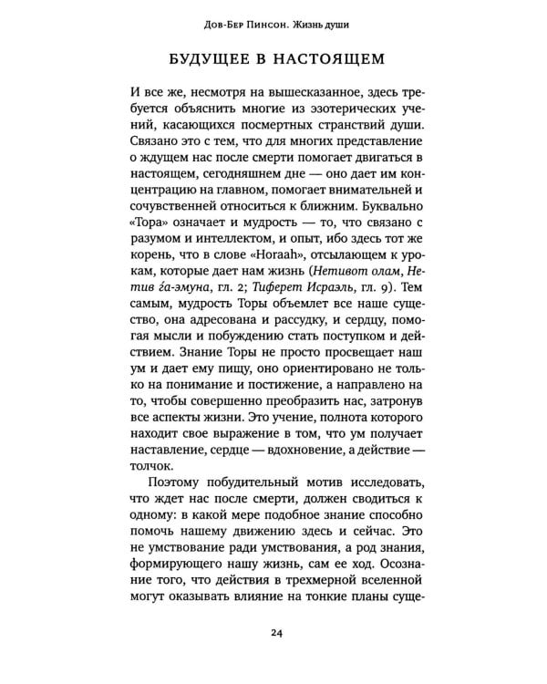 Дополнительное изображение книги «Жизнь души. Еврейское учение о том, что нас ждет после смерти»