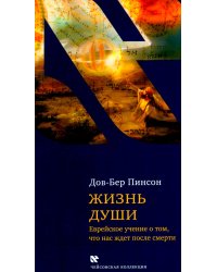 Жизнь души. Еврейское учение о том, что нас ждет после смерти