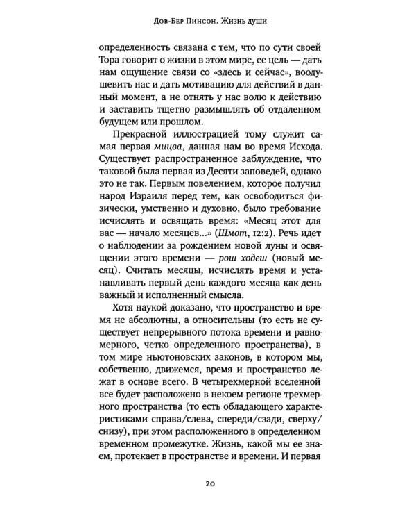 Дополнительное изображение книги «Жизнь души. Еврейское учение о том, что нас ждет после смерти»