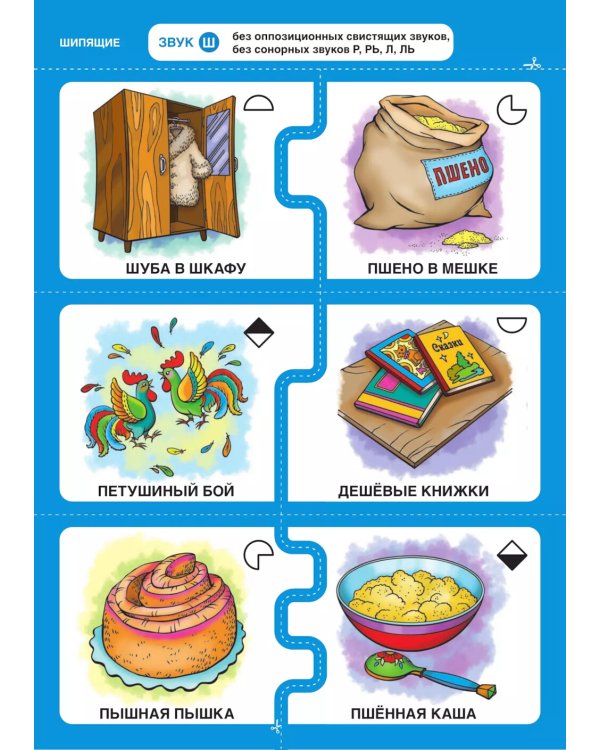 Дружу со звуками говорю правильно! Ш  Ж  Щ  Ч. Комплект логопедических игровых карточек для автоматизации звуков в сочетаниях слов (192 карточки)