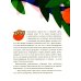 Оранжада. Место под Солнцем. Метафорическая сказка, которая открывает новые смысловые грани жизни