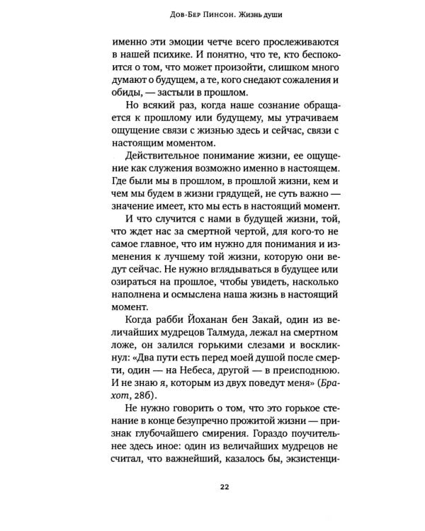 Дополнительное изображение книги «Жизнь души. Еврейское учение о том, что нас ждет после смерти»