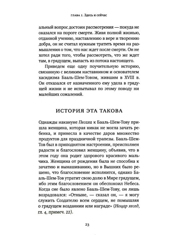 Дополнительное изображение книги «Жизнь души. Еврейское учение о том, что нас ждет после смерти»