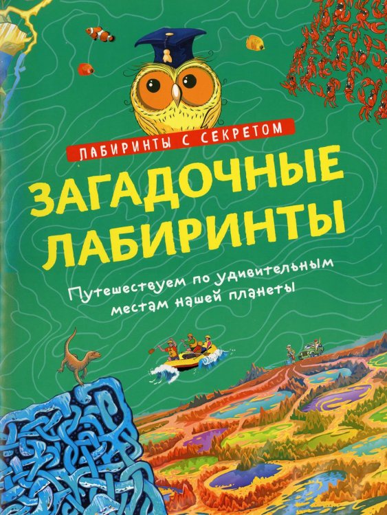 Лабиринты с секретом Загадочные лабиринты
