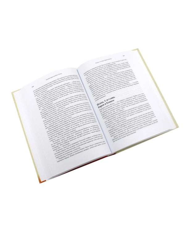 Дополнительное изображение книги «Говори, Господи! Как узнать и полюбить Ветхий Завет. Комментарии на некоторые книги Пятикнижия (комплект из 2-х книг)»