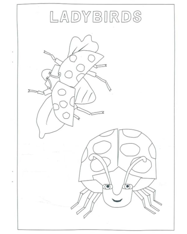 The Very Hungry Caterpillar's Bugs Colouring Book