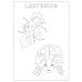 The Very Hungry Caterpillar's Bugs Colouring Book