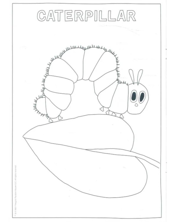 The Very Hungry Caterpillar's Bugs Colouring Book